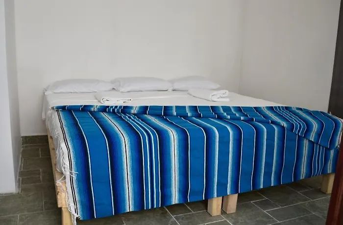 Coral 4*